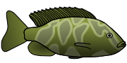 Free Green Fish Clipart