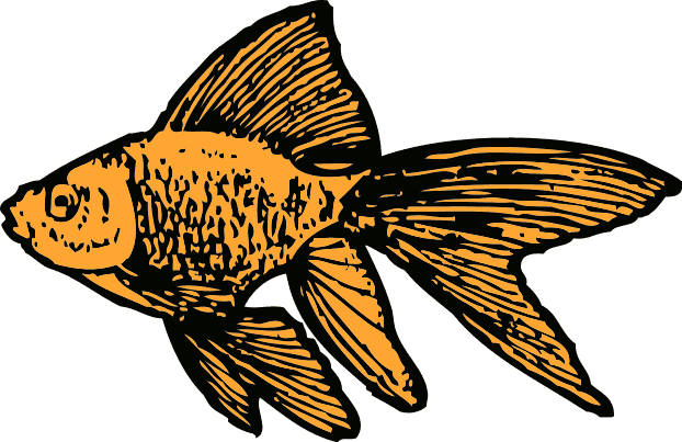 Free Striped Fish Clipart