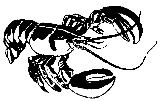 Free Lobster Clipart