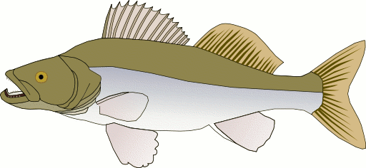 Free Green Fish Clipart