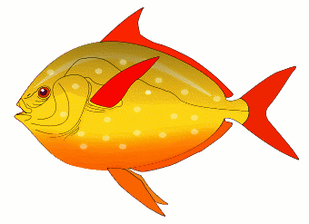 Free Red Finned Fish Clipart