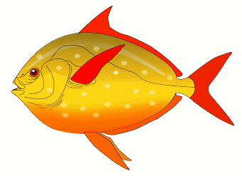 Free Yellow Fish Clipart