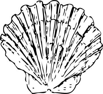 Free Black and White Seashell Clipart