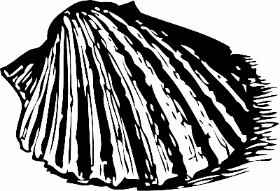 Free Black and White Seashell Clipart