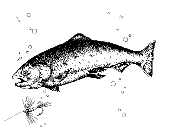 Free Trout Clipart