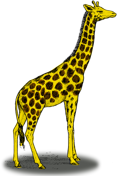 Free Giraffe Clipart