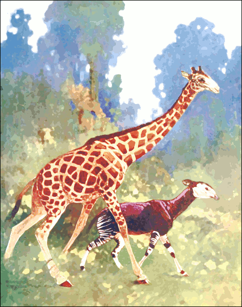 Free Giraffe Clipart