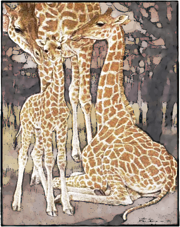 Free Giraffe Clipart