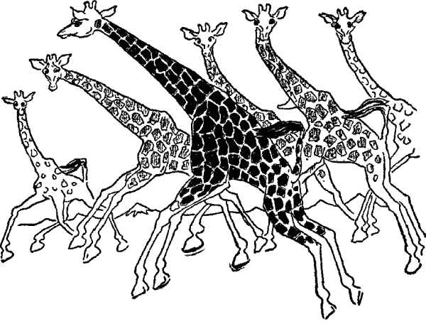 Free Giraffe Clipart