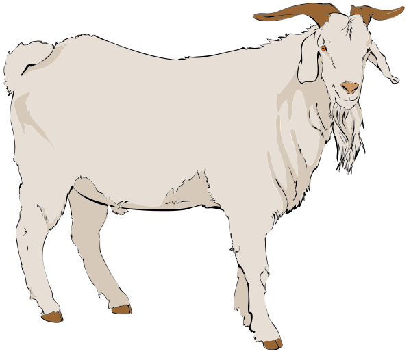 Free Bearded Goat Clipart