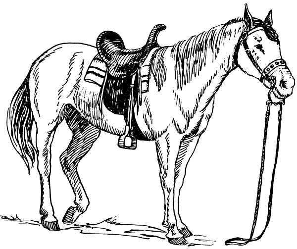 Free Horse Saddle Clipart