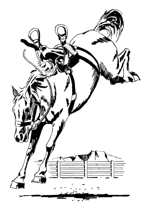 Free Black and White Horse Clipart