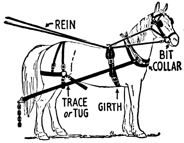Free Harnessed Horse Clipart