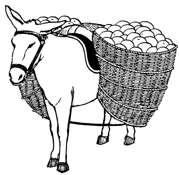 Free Donkey Clipart