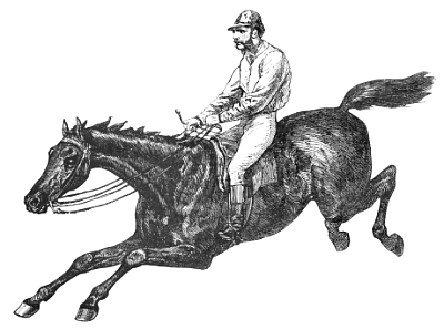 Free English Horse Rider Clipart