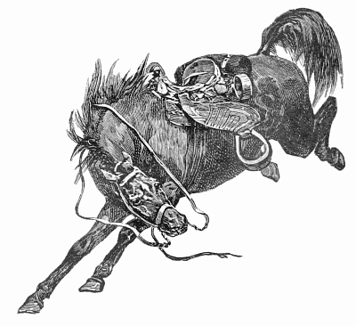 Free Horse Saddle Clipart