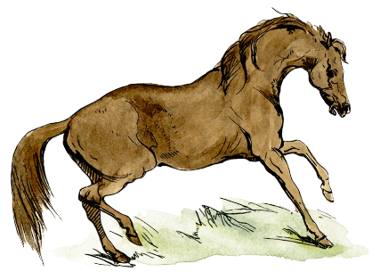 Free Horse Clipart