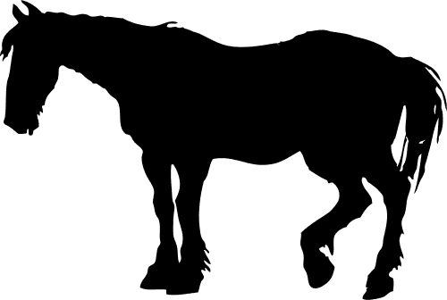 Free Senior Horse Clipart