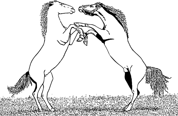 Free Fighting Stallions Clipart