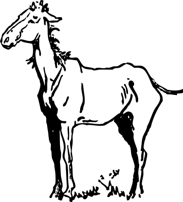 Free Rescued Horse Clipart