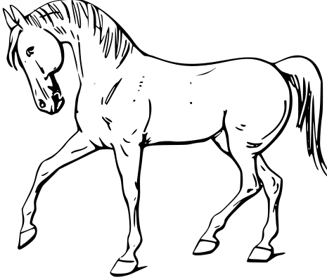 Free Black and White Horse Clipart