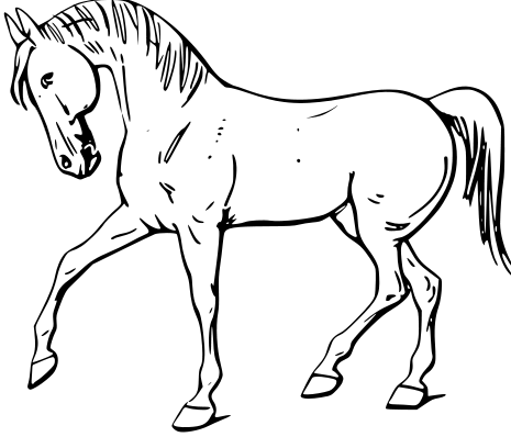 Free Horse Clipart