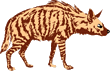 Free Hyena Clipart