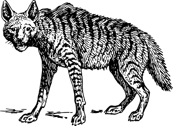 Free Hyena Clipart