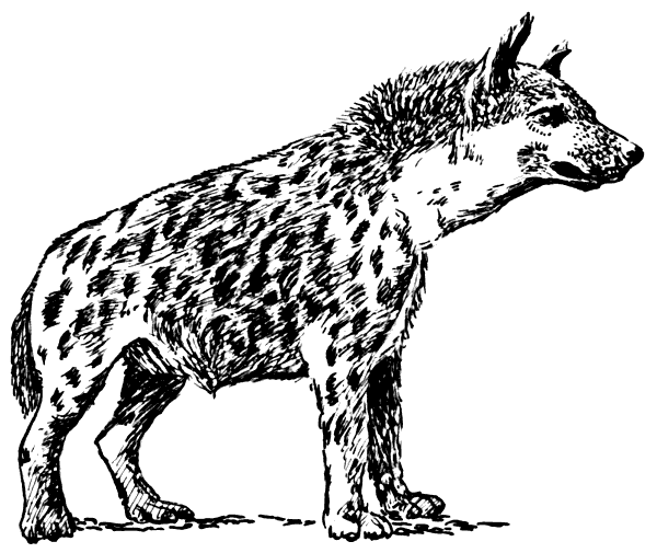 Free Hyena Clipart