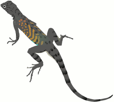 Free Grey Lizard Clipart