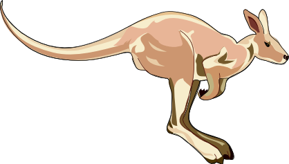 Free Kangaroo Clipart