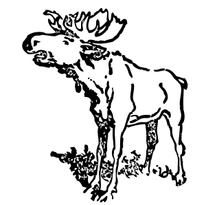 Free Moose Clipart