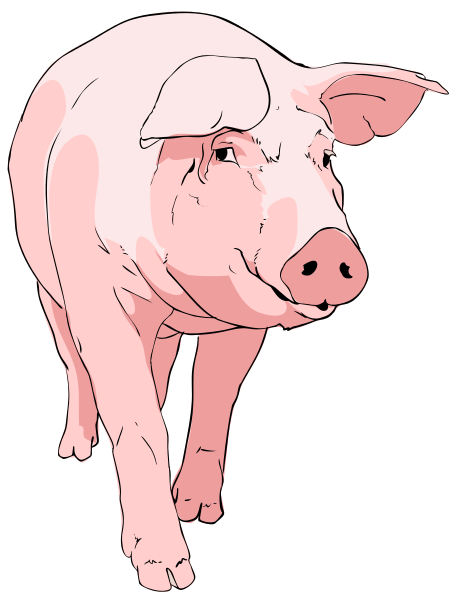 Free Domestic Pig Clipart