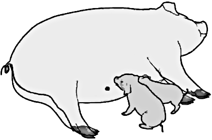 Free Mother Pig Clipart