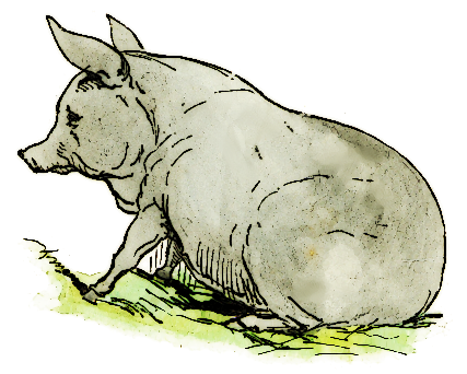 Free Pig Clipart