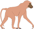 Free Baboon Clipart