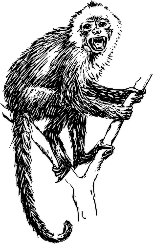 Free Black and White Monkey Clipart