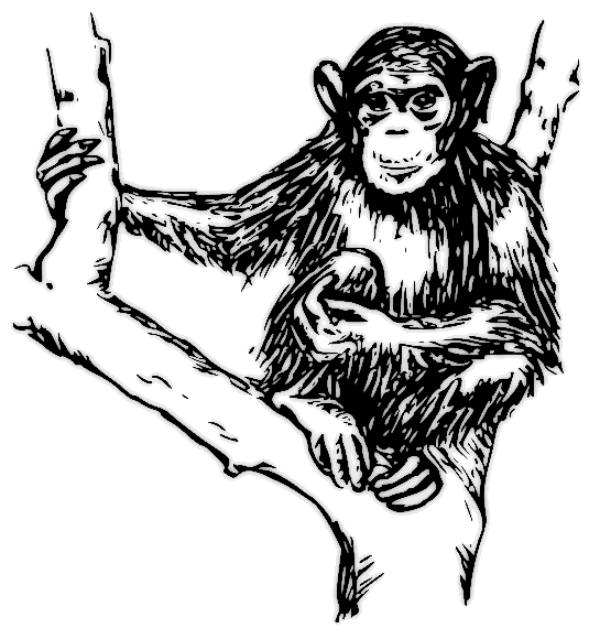 Free Chimpanzee Clipart