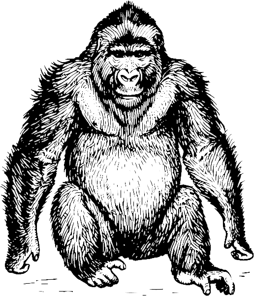 Free Gorilla Clipart