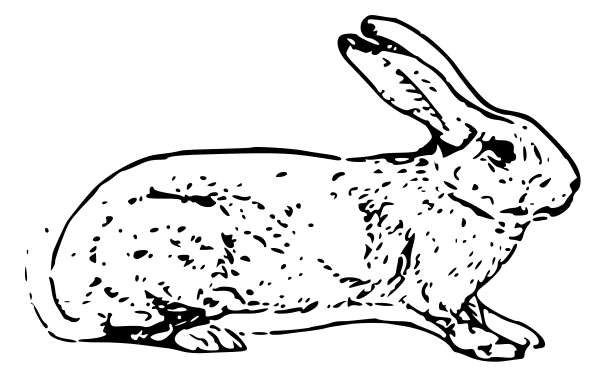 Free Rabbit Clipart