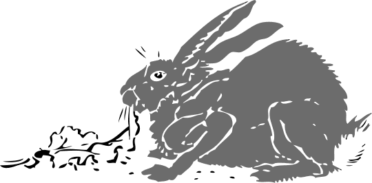 Free Rabbit Clipart