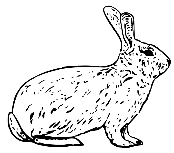 Free Black and White Rabbit Clipart