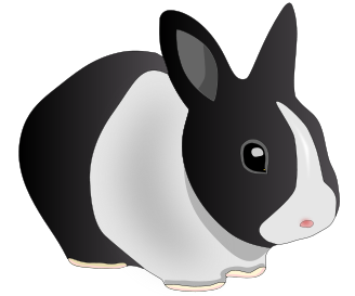 Free Holland Rabbit Clipart