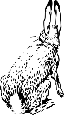 Free Rabbit Coloring Page Clipart