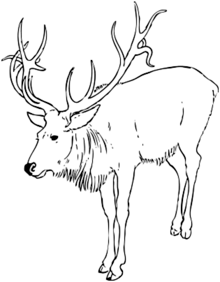 Free Black and White Reindeer Clipart