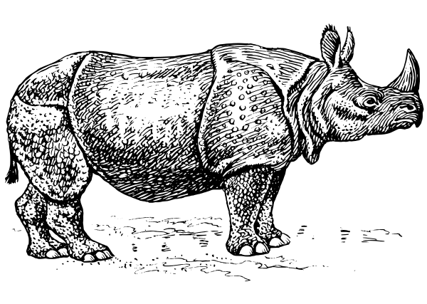 Free Rhinoceros Clipart