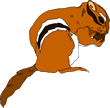 Free Chipmunk Clipart