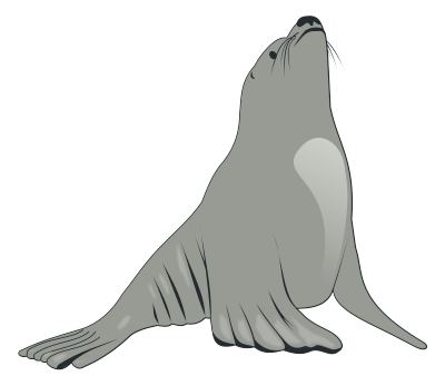 Free Black Sea Lion Clipart