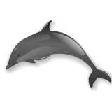 Free Common Dolphin Clipart