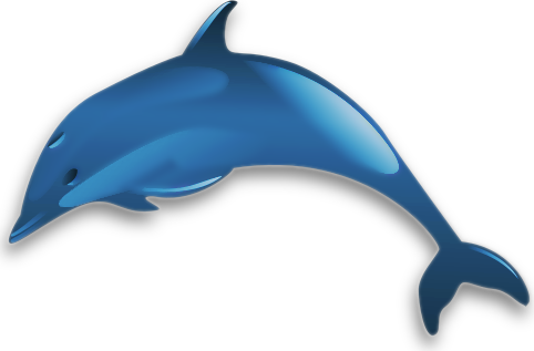 Free Common Dolphin Clipart